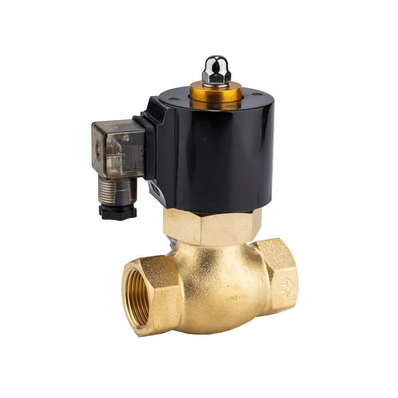 2L-200 Solenoid valve for steam application