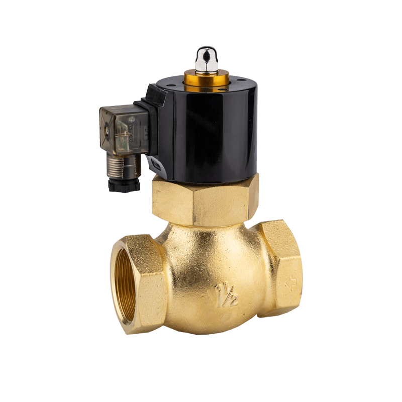 2L-300 Solenoid valve for steam application
